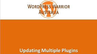 WordPress Training - How To Update Multiple Plugins Simultaneously