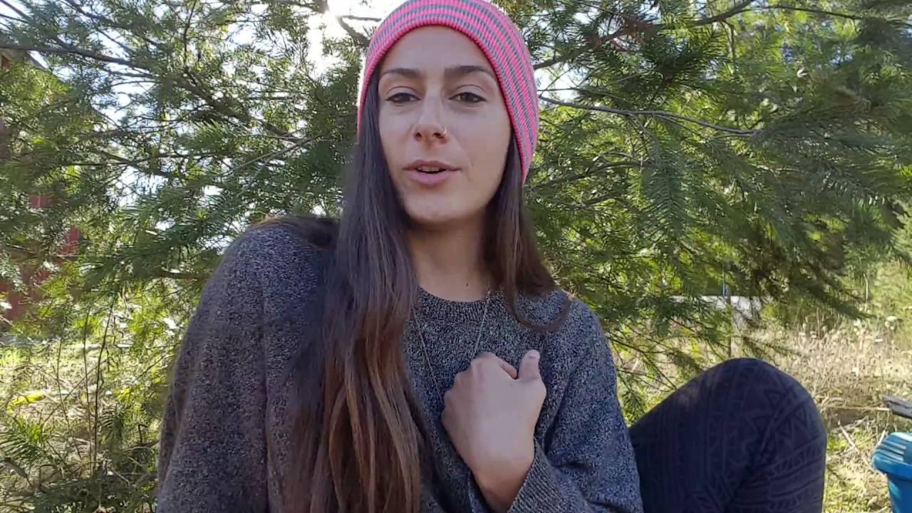 What is the Trilogy Wellness Program?