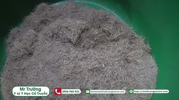 Kinh nghiệm sử dụng Chuối Hột Rừng và Dứa Rừng cho bệnh Sỏi Thận