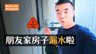 Learn Real-Life Mandarin: I Helped My Friend Fix His Apartment Problem in Shanghai
