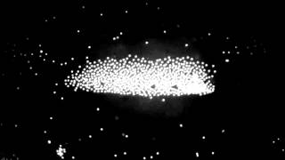 Electrokinetic Behavior Of Colloids With A Scanning Laser, 1.0 S Period
