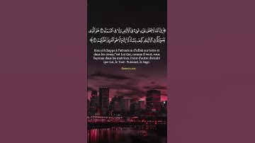سورة آل عمران #قرآن_كريم #محمد_الفقيه #المصحف