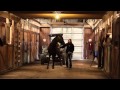 Academic programs equine science