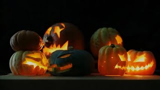 Pumpkin Carving, Stopmotion, Halloween