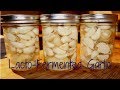 Fermenting Garlic