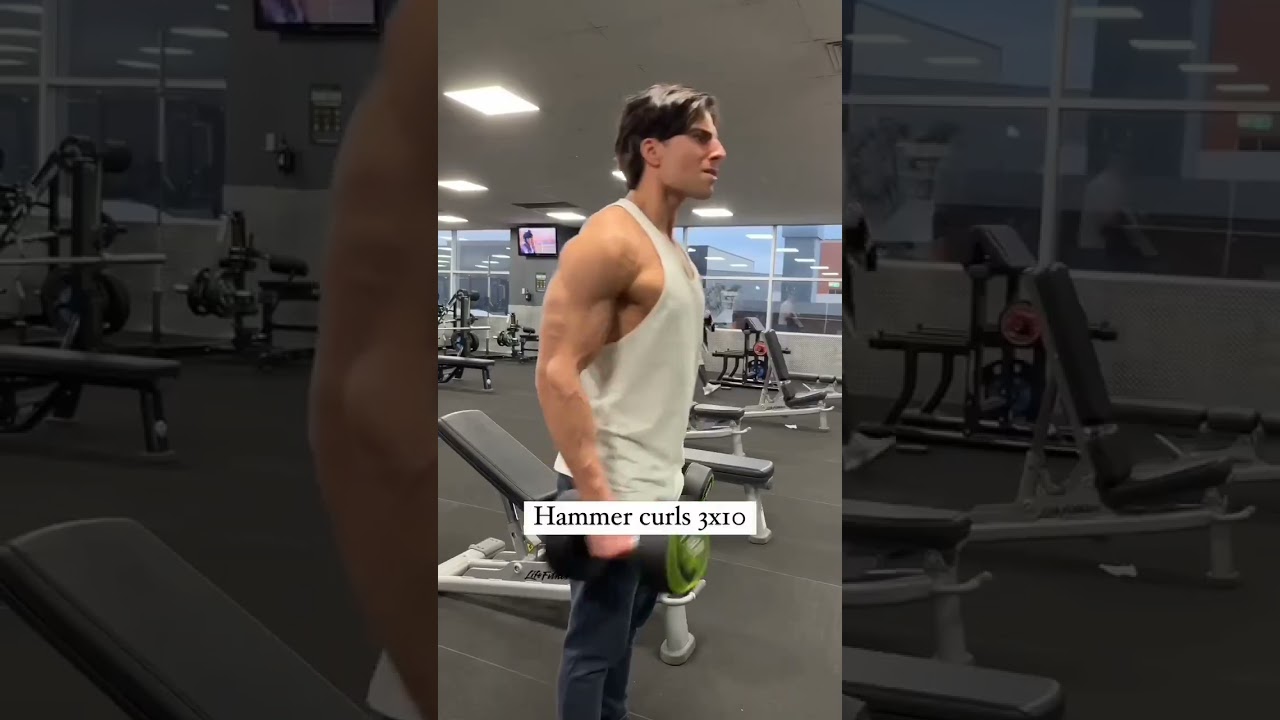 arms workout no equipment l arms workout for beginners 