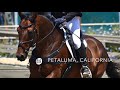 Equinessence introduces Tidal Equine