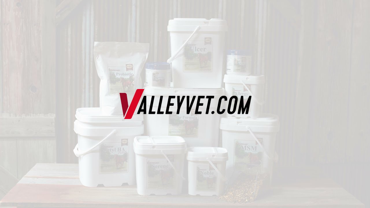 Brookside Equine Supplements YouTube