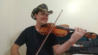 Orange Blosson Special Violin Flávio Simões