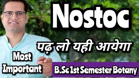Nostoc! #bedkdian #bsc1stsemester #mjpru #botany #bsc