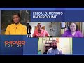 Report Finds Census Undercounted Some Minority Groups