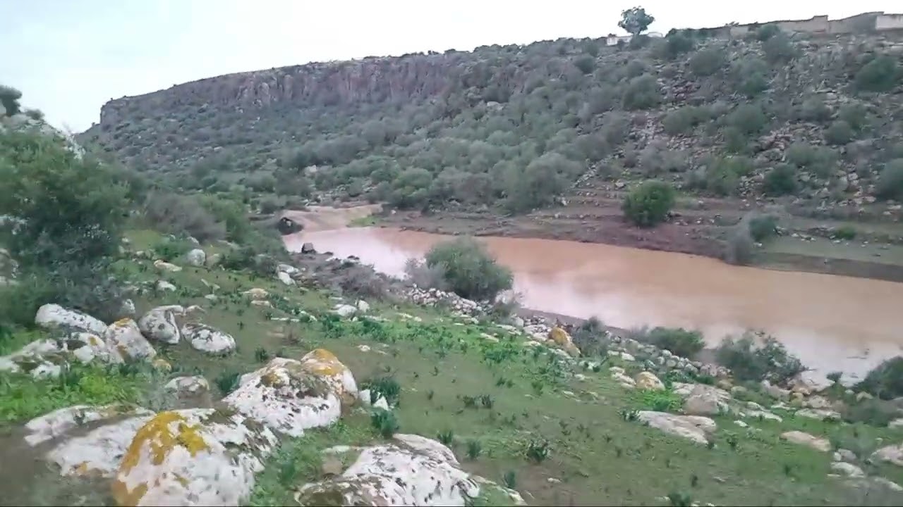 #كن_متواضعا__وضع_إعجابك_على_منشورات_قناة_ديماريف_الوثائقية_قبل_أن_تختفي_من_الشاشة