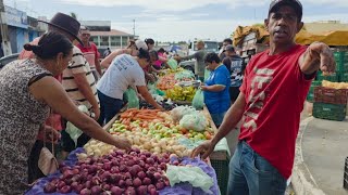 Feira Livre de Estrela de Alagoas,  sábados. Alagoas. 01.08.2026 (1/3)