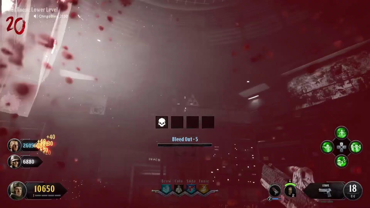 Bo4 classified with randoms