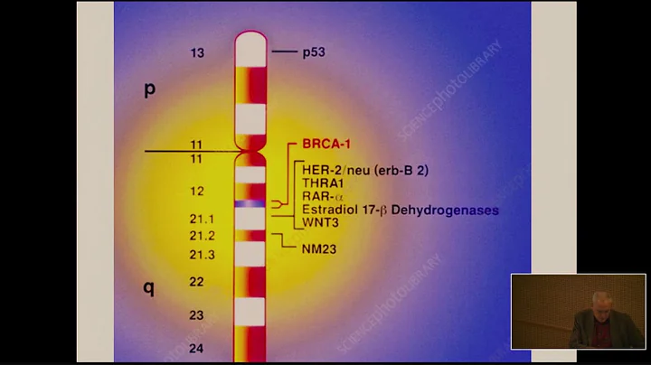 25 years after BRCA discovery: History, enigma, an...