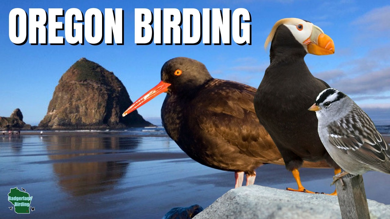 A Full Day of Birding and Exploring Coastal Oregon!