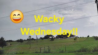 Wacky Wednesday Funny for You!