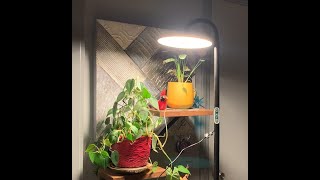 CHIPHY LED FLOOR LAMP by daredevil7442 43 views 2 months ago 4 minutes, 28 seconds