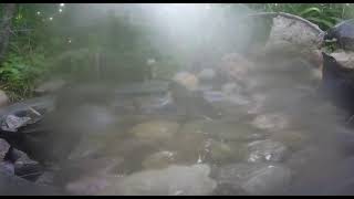 Ostdrossel pond cam