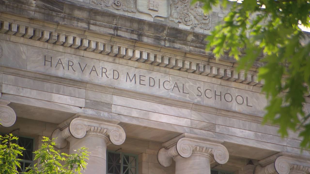 harvard medical school tour