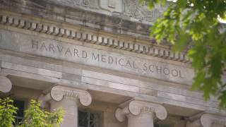 A History of Harvard Medical School Part IV: The Quad