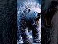 incredible animals fashion video 🐅🐅🐅#incredible #animals #fashion #motivation #ai #youtubeshorts