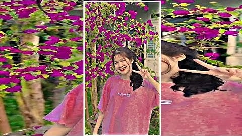 New Tiktok Trending XML | Pipal PateOtha x @Mr.Bishal_Editz  [Check Video Description] #xml 🥀❤️