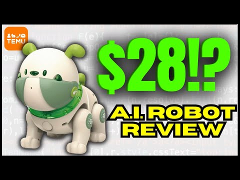 AI ROBOT FROM TEMU: DOES IT WORK? (Dodo Robot Full Review)