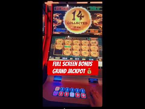 Sidh guru I did on my headache casino 🙏🙏🙏🙏🙏🙏🙏🙏🙏🙏