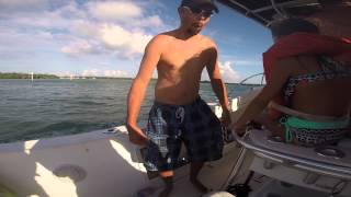 Tales From Miami Movie