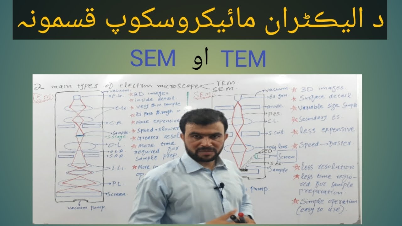 Types of electron microscope in pashto | TEM and SEM | difference ...