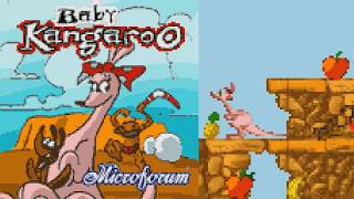 Baby Kangaroo JAVA GAME (Microforum 2004) FULL WALKTHROUGH