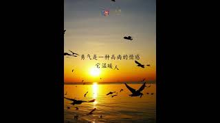 太阳：如何将我们的敌人转化为朋友？#行星疗愈 #太阳