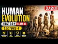 HUMAN EVOLUTION | HISTORY CLASS XI | LECTURE-1