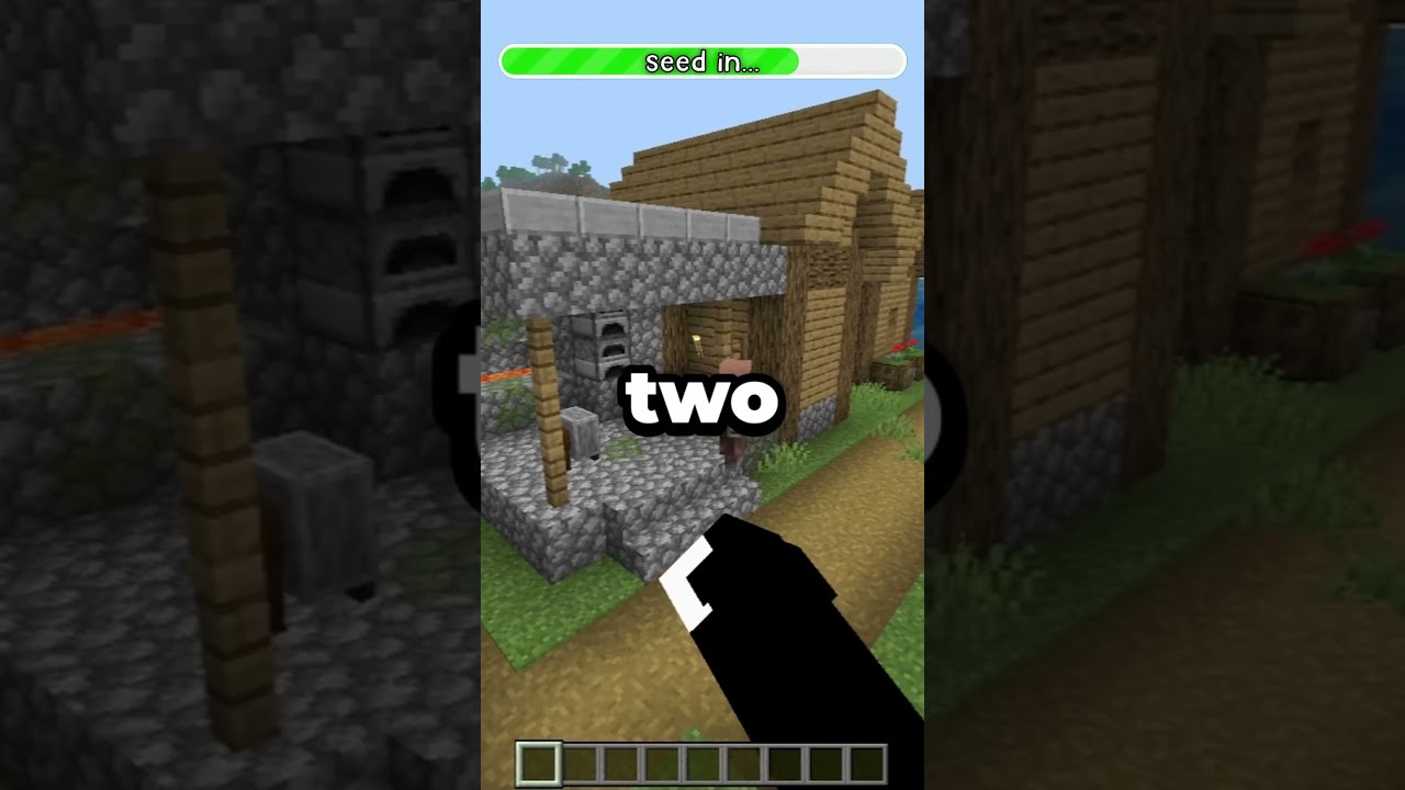 IS THIS THE BEST BEDROCK 1 21 SEED 