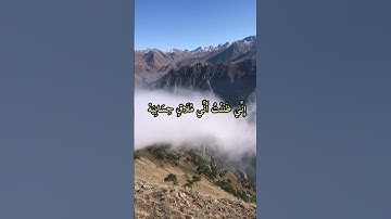 فأما من أوتي كتابه بيمينه سورة الحاقة محمد اللحيدان #quran #قران_كريم #القرآن_الكريم #محمد_اللحيدان