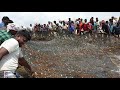 5 டன் மீன்கள், கரை வலை மீன் பிடித்தல் / Live Exclusive Video Of 5 Tonne Fish Catching