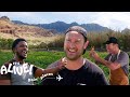 Brad goes farming in hawaii  its alive goin places  bon apptit