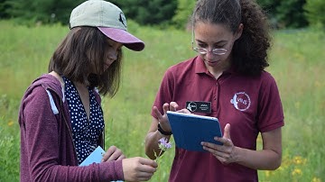 Video Investigation: iNaturalist Tutorial