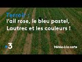 De lail rose au bleu pastel lautrec en voit de toutes les couleurs   mto  la carte