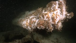 Download Lagu Wreck of the oil tanker Derbent / Llongddrylliad y tancer olew Derbent MP3