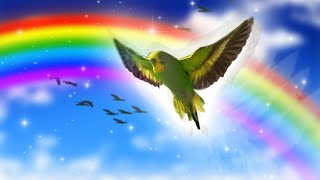 Across The Rainbow Bridge - Budgie World (Official Music Video) by Budgie World 13,511 views 3 years ago 4 minutes, 6 seconds