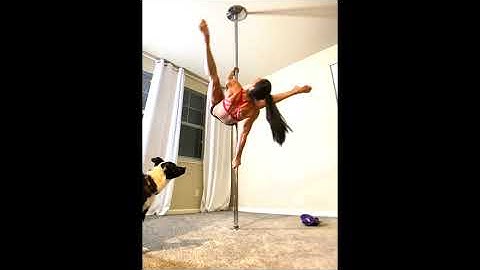 Elephant Split Pole Combo