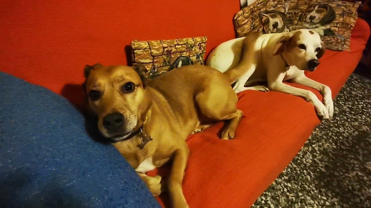 Vieni a sederti sul divano con noi.