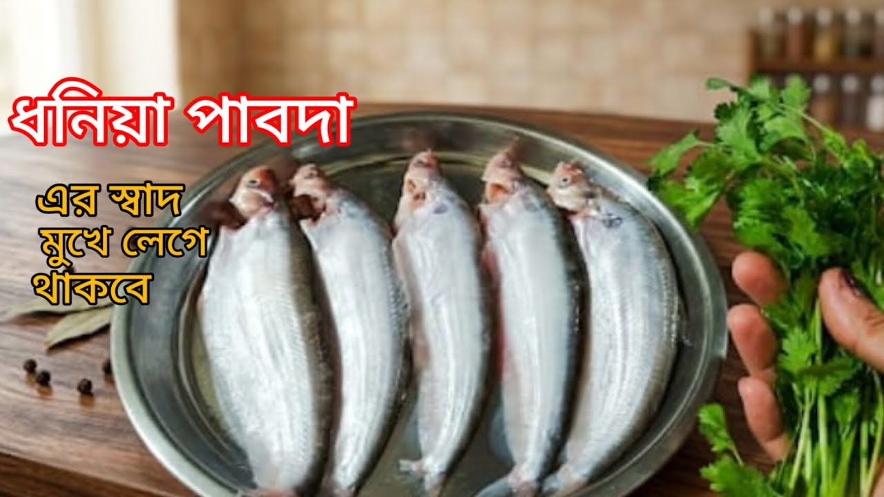  ☘️ধনিয়াপাতার এমন পাবদা খেয়েছেন কখনও /জিবে জল আসবেই! Geen Pabda Bangladeshi Recipe 