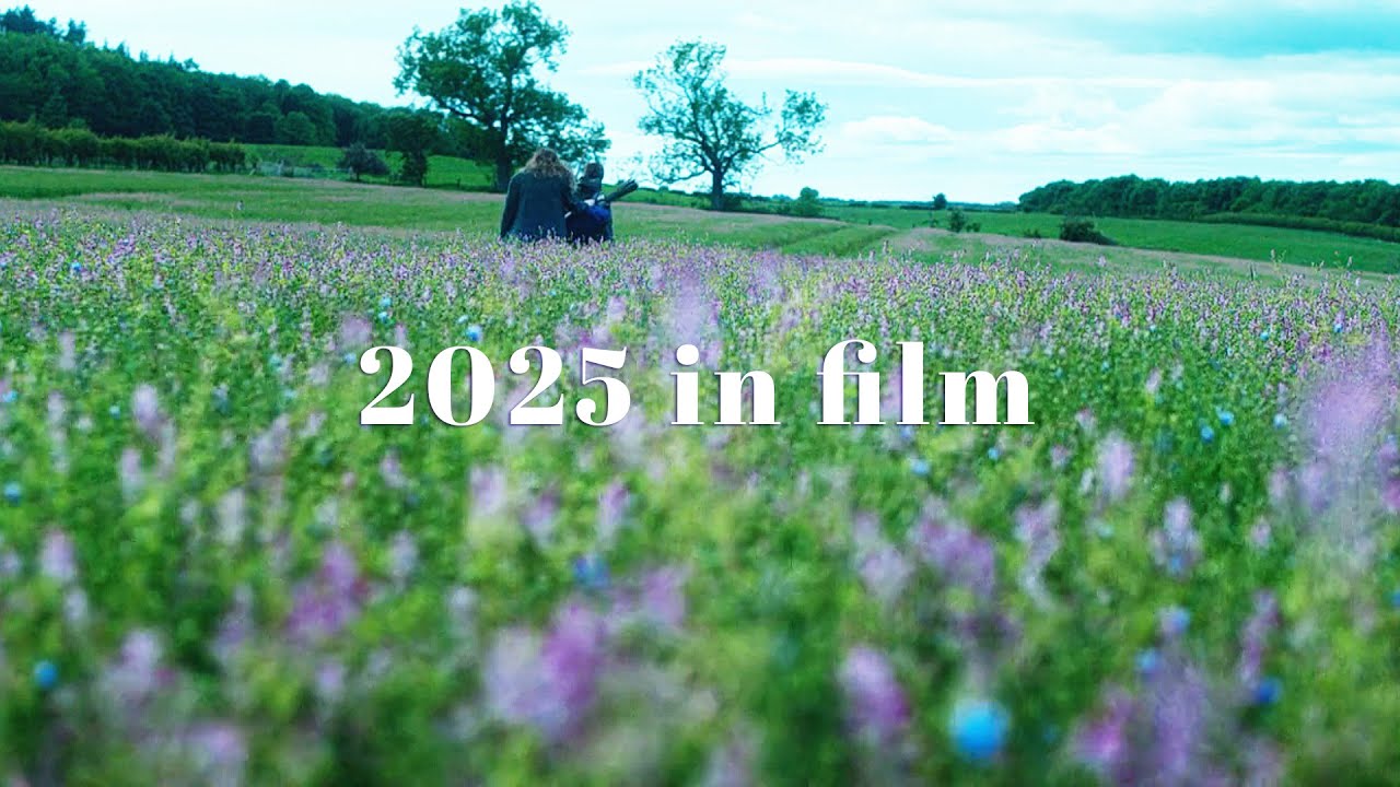 My 2025 In Film