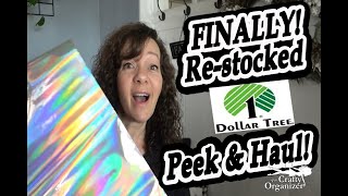 Dollar Tree Haul and Store Restocking Update
