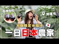 傳說中的日本唯一水茄子🍆 大阪限定農村體驗｜超稀有在地美食公開【大阪貝塚】