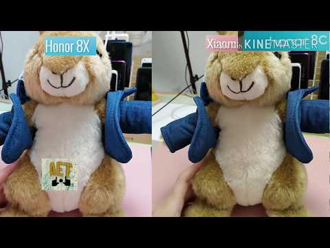 Huawei honor 8X vs Xiaomi mi 8 lite/youth Camera test