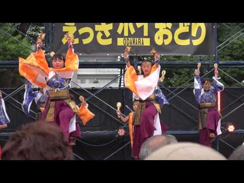 GLOBAL KIDS Jr@ ODAWARAえっさホイおどり2016　一日目　 メイン会場コンテスト演舞